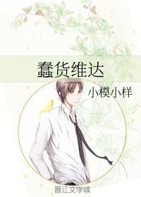 蠢貨維達