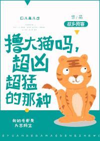 撸大貓嗎,超兇超猛的那種!