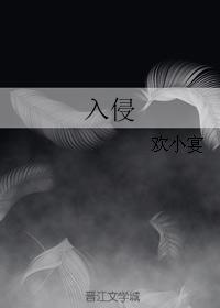 入侵