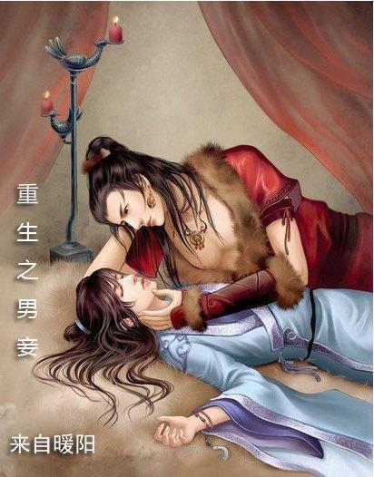重生之男妾