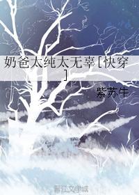 奶爸太純太無辜[快穿]