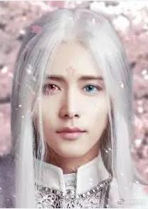 幻雪往事