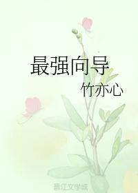 最強向導