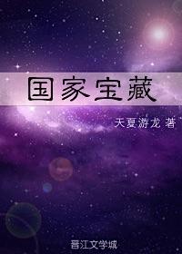 國家寶藏