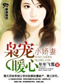 枭寵暖心小嬌妻