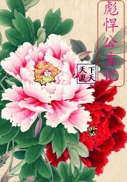 彪悍公主記