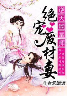逆天能量師:絕寵廢材妻