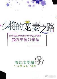 少将的寵妻之路(gl)