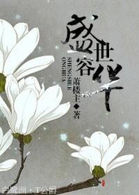 盛世容華