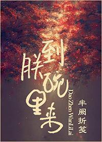 到朕碗裏來