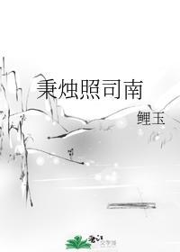 秉燭照司南