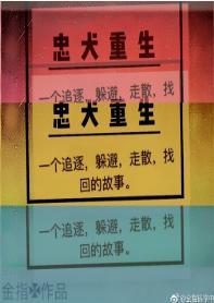 忠犬重生