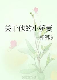 關于他的小嬌妻