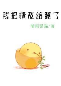 王妃外傳-我把情敵給睡了