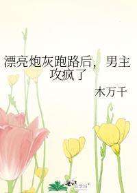 漂亮炮灰跑路後,男主攻瘋了