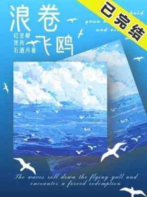 浪卷飛鷗