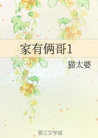 家有倆哥1