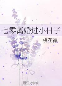 七零離婚過小日子