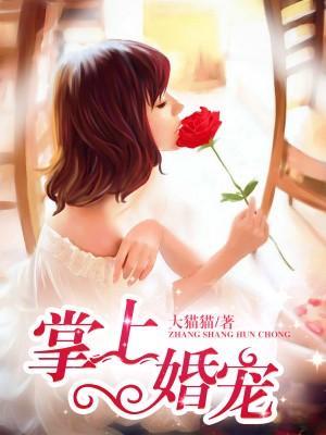 掌上婚寵