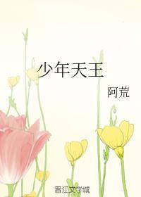 少年天王