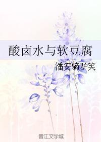 酸鹵水與軟豆腐