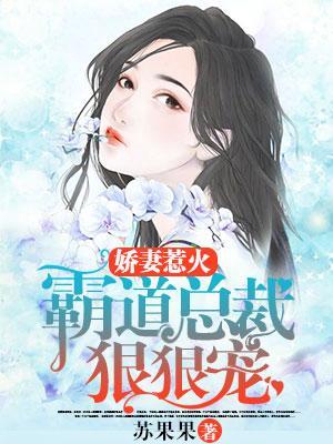 嬌妻惹火:霸道總裁狠狠寵