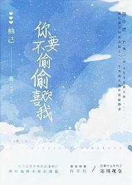 你不要偷偷喜歡我