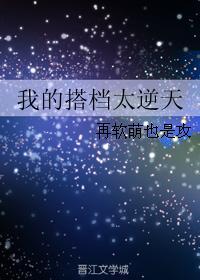我的搭檔太逆天
