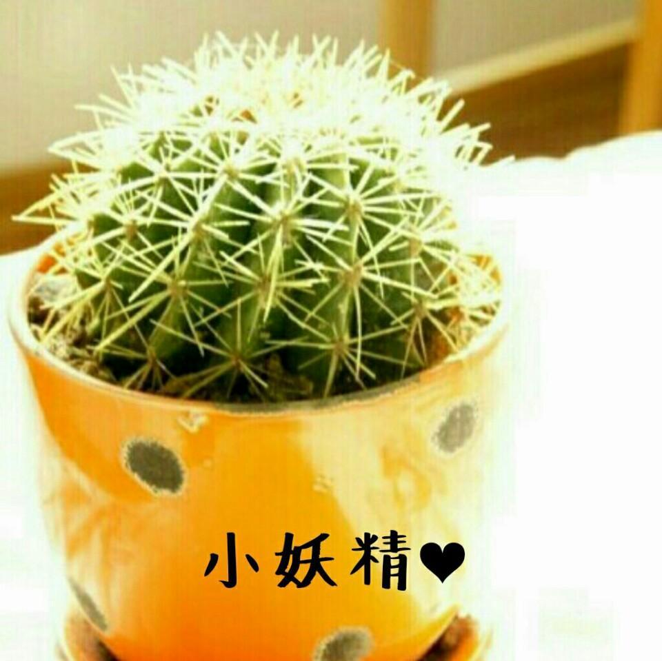 小妖精
