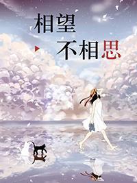 相望不相思
