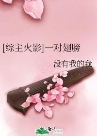 [綜主火影]一對翅膀