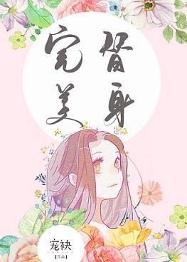 完美替身