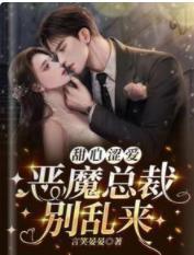 甜心澀愛,惡魔總裁別亂來