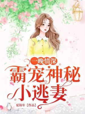 一晚情深：霸寵神秘小逃妻