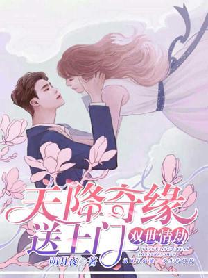 雙世情劫:天降奇緣送上門