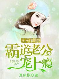 頭號鮮妻,霸道老公寵上瘾
