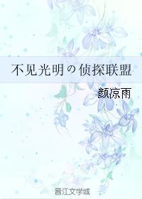 不見光明の偵探聯盟