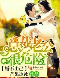 婚不由己,總裁老公很危險!