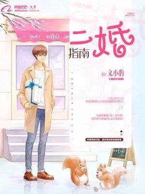二婚指南