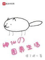 合作夥伴不是人