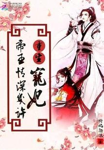 重生寵妃:帝王情深幾許
