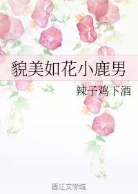 貌美如花小鹿男