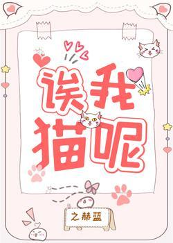 诶我貓呢
