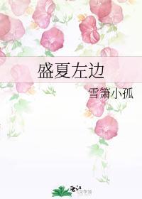 盛夏左邊