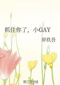 抓住你了，小GAY