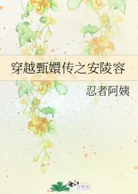穿越甄嬛傳之安陵容