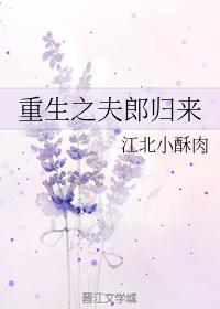 重生之夫郎歸來