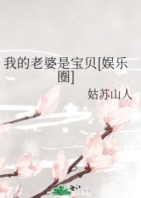 我的老婆是寶貝[娛樂圈]