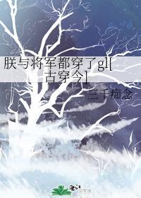 朕與将軍都穿了gl[古穿今]