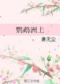 鹦鹉洲上